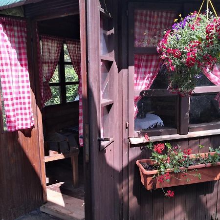 Charmante Ferienwohnung 3 Zimmer Kueche Bad Zentrale Lage Hagen im Bremischen Exteriér fotografie