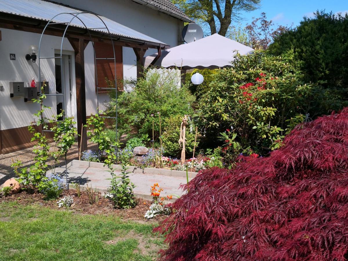 Charmante Ferienwohnung 3 Zimmer Kueche Bad Zentrale Lage Hagen im Bremischen Exteriér fotografie